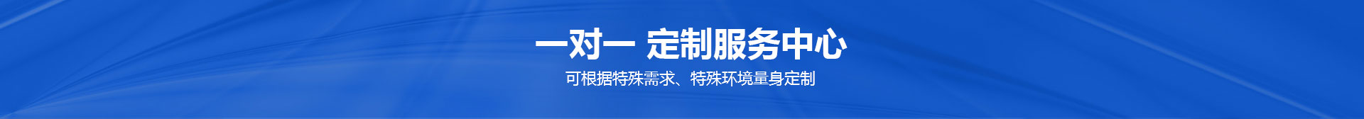 一对一定制服务 一对一定制服务